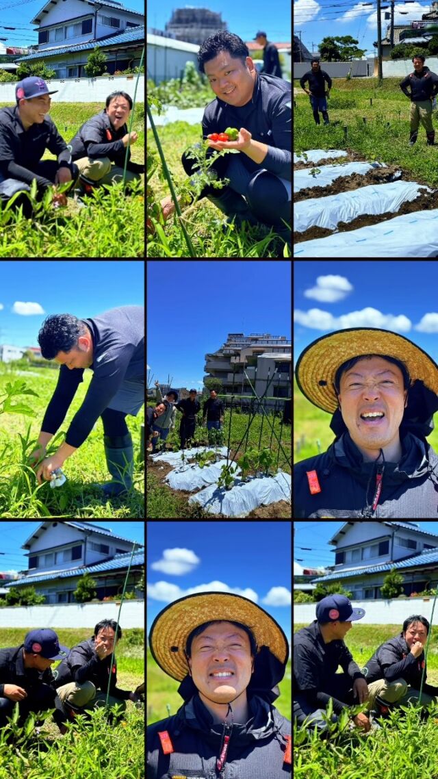 🥕👨🏽‍🌾👩🏽‍🌾🍉
⁡
⁡
スマサポついに
畑始めました✨‼︎
⁡
みんなでワイワイ畑に行って
苗を植えたり
とっても楽しい時間です🫶🏽！
⁡
秋には
職員のお子さんや
地域の子どもたちを呼んで
芋掘りができたらなぁと計画中です🍠
⁡
ーーーーーーーーーーーーーーーーーーーーーーー
⁡
　#スマサポ　#畑  #農業 #芋掘り
#求人募集